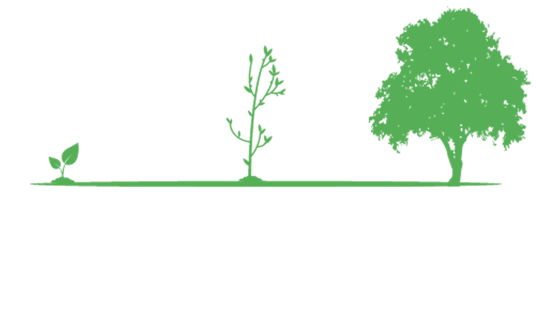 Carlson Community Empowerment Logo