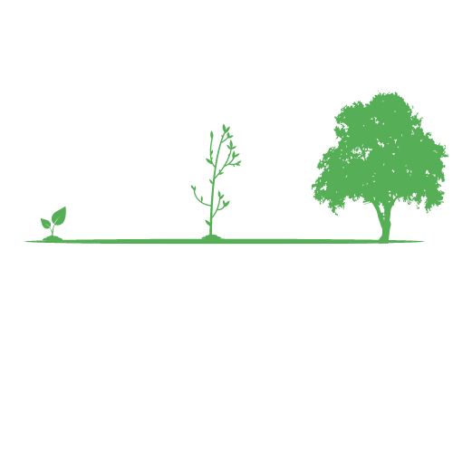 Carlson Community Empowerment Logo